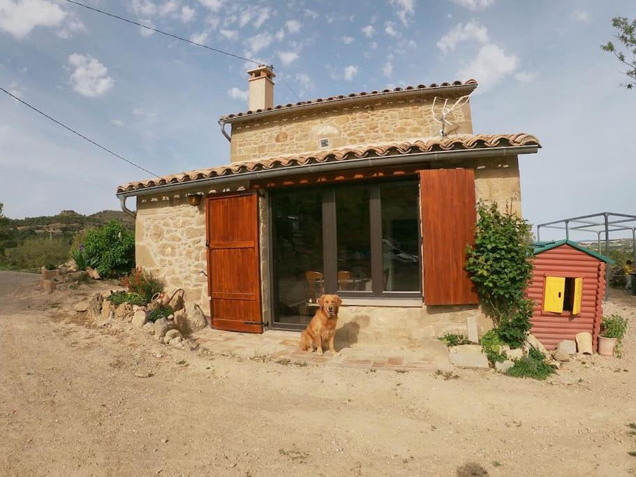Cal Sastre Villa Olíus Kültér fotó
